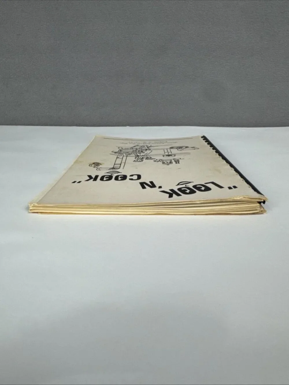 Vtg Look N Cook Oakfield New York Fire Dept Ladies Auxiliary Cookbook 50s/60s